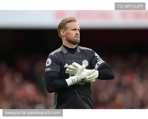 从北欧黑马到荣耀传承 丹麦1992奇迹与舒梅切尔父子传奇 从北欧黑马到荣耀传承 丹麦1992奇迹与舒梅切尔父子传奇